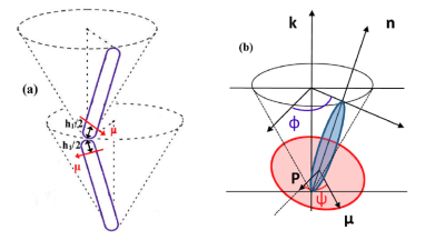 Smectic_molecule_orientation